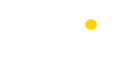 BWIN logo